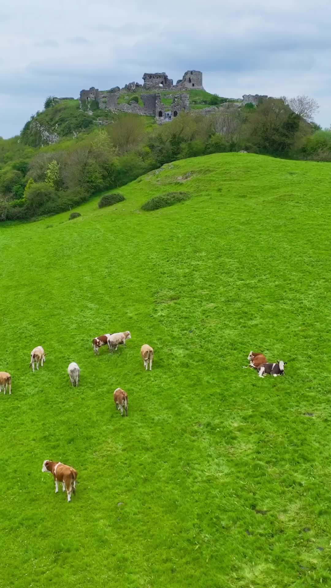 Discover the Ancient Rock of Dunamase in Ireland