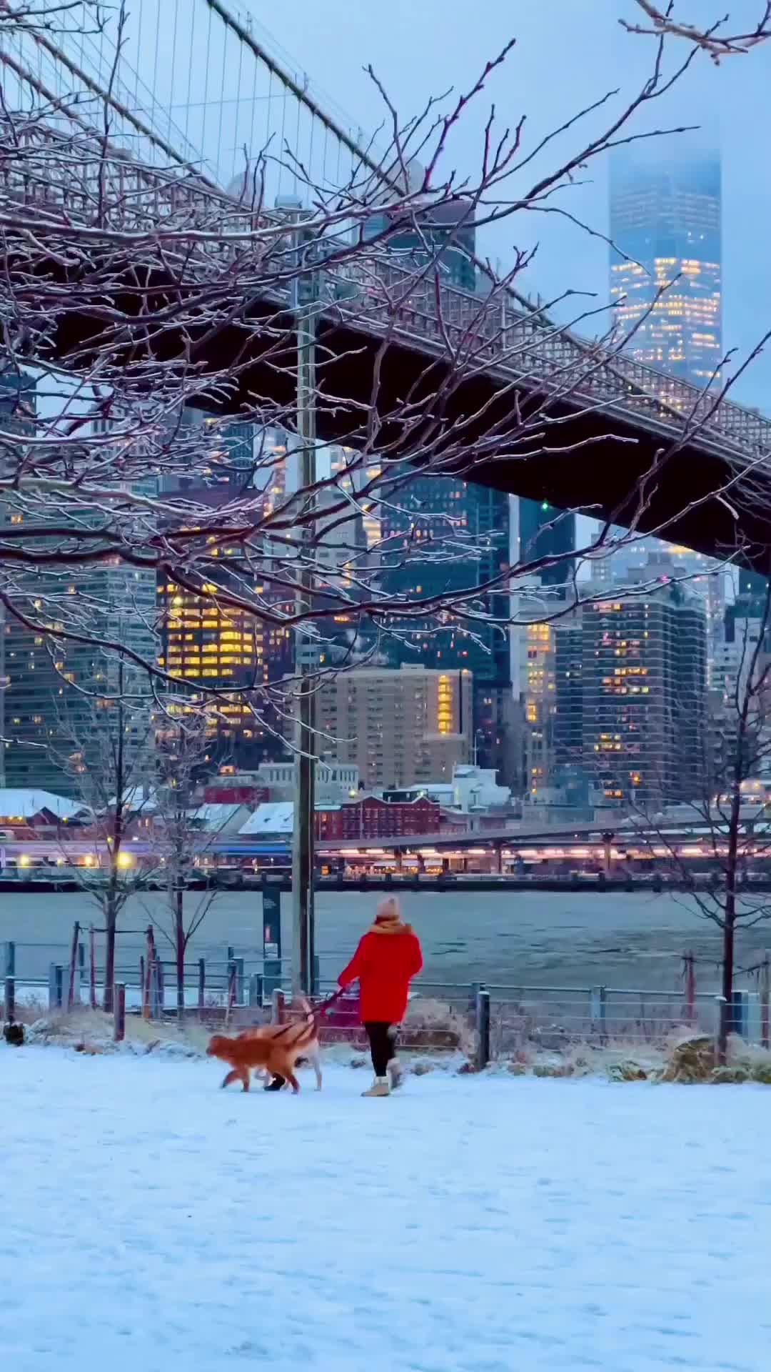 Winter Wonderland Under the Brooklyn Bridge