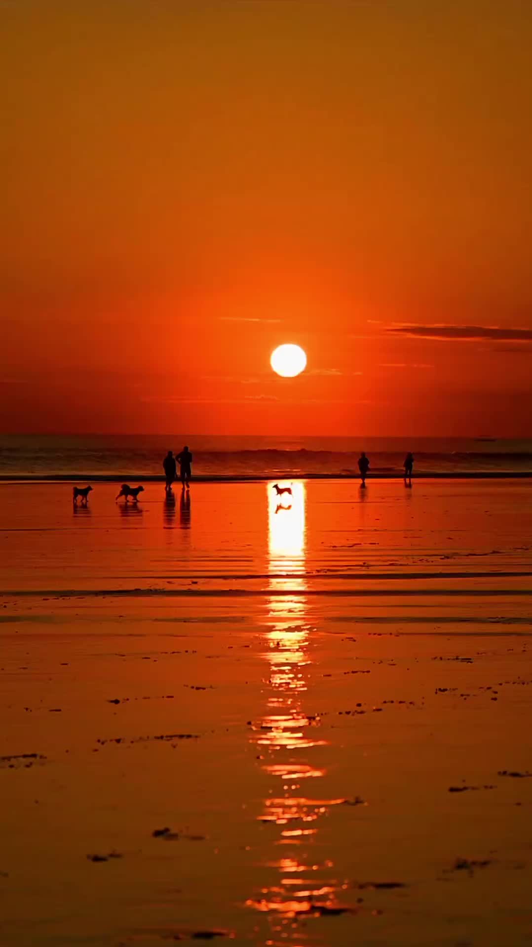 Stunning Seminyak Sunset Over the Bali Sea 🌅