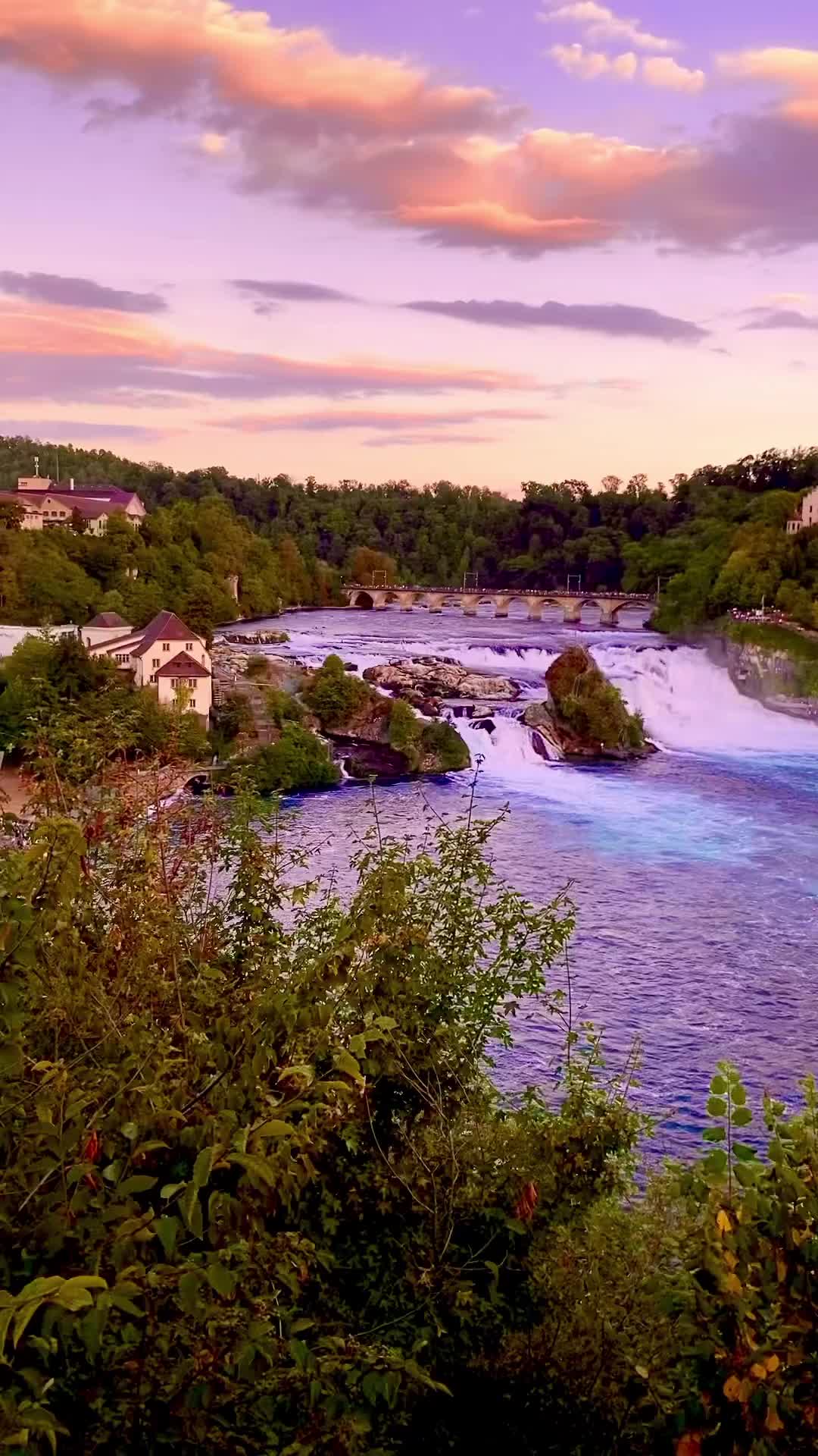 🇬🇧🇮🇩👇🇨🇭BEAUTIFUL SPOT TO SEE RHEINFALL🇨🇭FROM ABOVE, SAVE THIS 👇

📍NEUHAUSEN AM RHEINFALL TRAIN STATION🇨🇭

🌸Where you can capture: long Rhein River, Rhein waterfall together with the train bridge and Schloss Laufen (Laufen Castle)

🌸Rheinfall is Europe’s largest waterfall and one of Most visited destinations in Switzerland🇨🇭

🌸only less than 1 hour journey by train from Zurich Main Station

➡️ @syifa_in_switzerland for more swiss locations & inspirations 

❤️SHARE this to your IG story

📌SAVE this reel for your next trip🇨🇭

🎥 @syifa_in_switzerland

#syifainswitzerland #rhein #rhine #sunset #rheinfall #rhine #rhinefall #zuerich #zürich #visitswitzerland #visitswiss #visitzurich #zurichinfluencer #zurichblogger #schaffhausen #neuhausenamrheinfall #schlosslaufen #swissinfluencer #swissblogger #switzerlandwonderland #switzerlandtourism #switzerlandtravel #switzerlandtrip #waterfall #zurich_switzerland  #bestofswitzerland  #swiss #switzerland_destinations  #schweiz