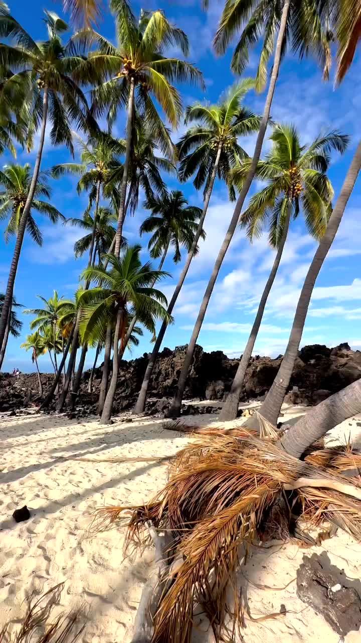 Celebrate Birthdays in Hawaii: Adventure Awaits!