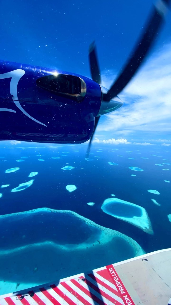 fly with me to some of my most favorite spots in the maldjves 💙

14 (hopefully short!!) sleeps till we head back to paradise on earth 😍
.
.
.
.
.
.
🏝🏝follow @maldives.postcards for more maldives content 🏝🏝
🏝🏝follow @maldives.postcards for more maldives content 🏝🏝
.
.
.
#maldives #maldivesislands #maldivesresorts #luxury #beachlife #overwaterbungalow #overwatervilla #luxurytravel #luxurytraveller #fourseasons #luxurymaldives #conradmaldives #picoftheday #travel #nature #photooftheday #travelgram #likeforlike #naturephotography #follow #luxuryresorts #tropical #maldivesluxury #beach #sand #sun #tropics #wmaldives #explorepage #Мальдивы