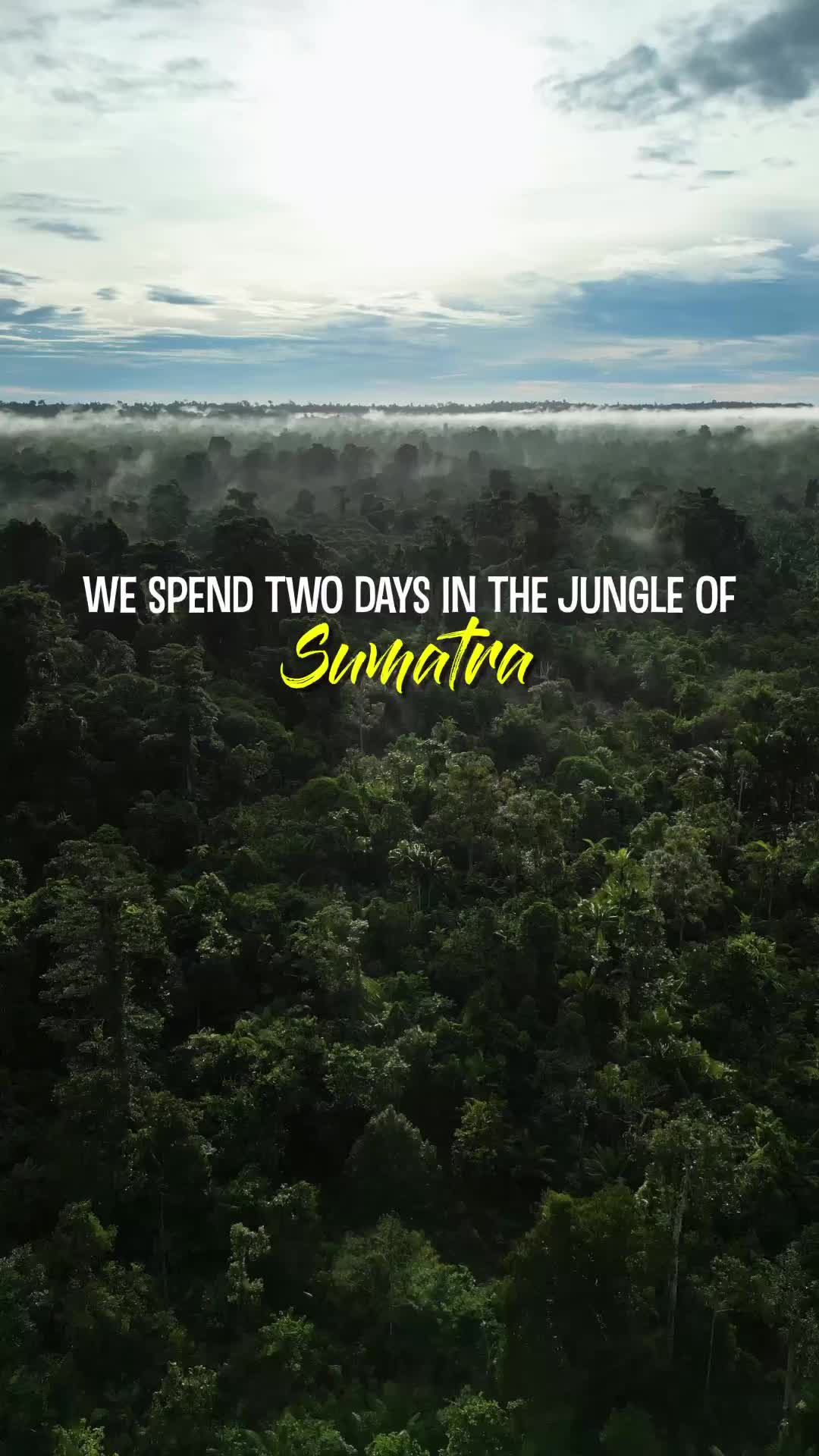 Adventure in Gunung Leuser: Orangutans & Jungle Trekking