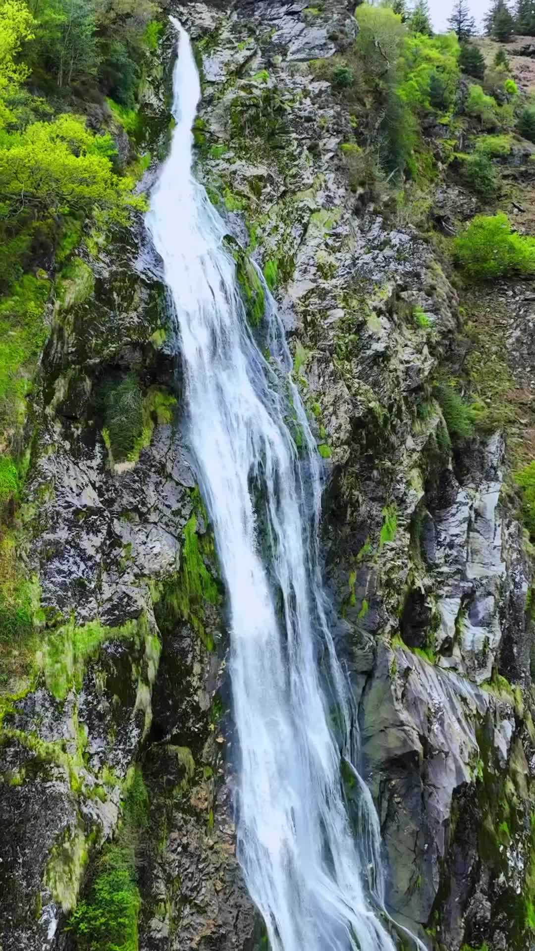 Discover Powerscourt Waterfall: Ireland's Tallest Cascade