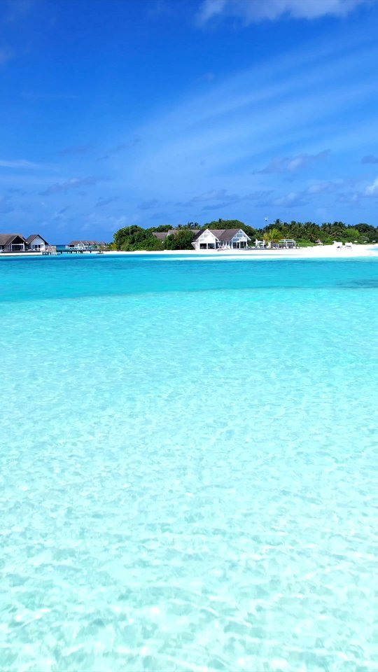 7s at Four Seasons Landaa Giraavaru, one of the most incredible resorts in the world 🤩🏝️

📍 @fsmaldives

-

Follow us ❤️ @toptravelplaces_ for more 👍

-

📸 Video taken by @toptravelplaces_

-

#maldives #travel #traveldestination #fsmaldives #fourseasons #fsmoments #maldivesislands #luxurytravel #honeymoondestination  #beachholiday #beachvibes #luxuryresorts