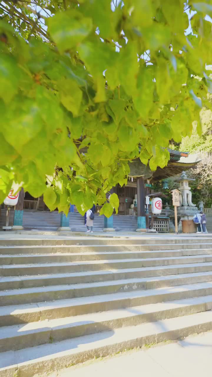 Explore Asahi-sha at Konpira-gu Shrine in Kagawa