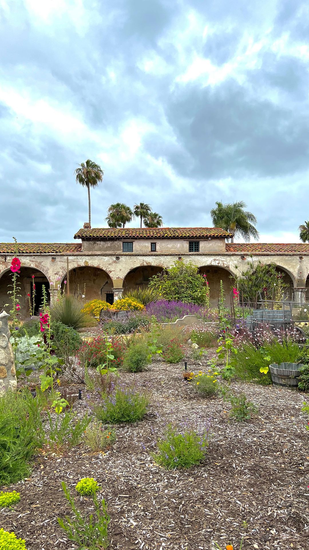 Whale Watching and Culinary Delights in San Juan Capistrano