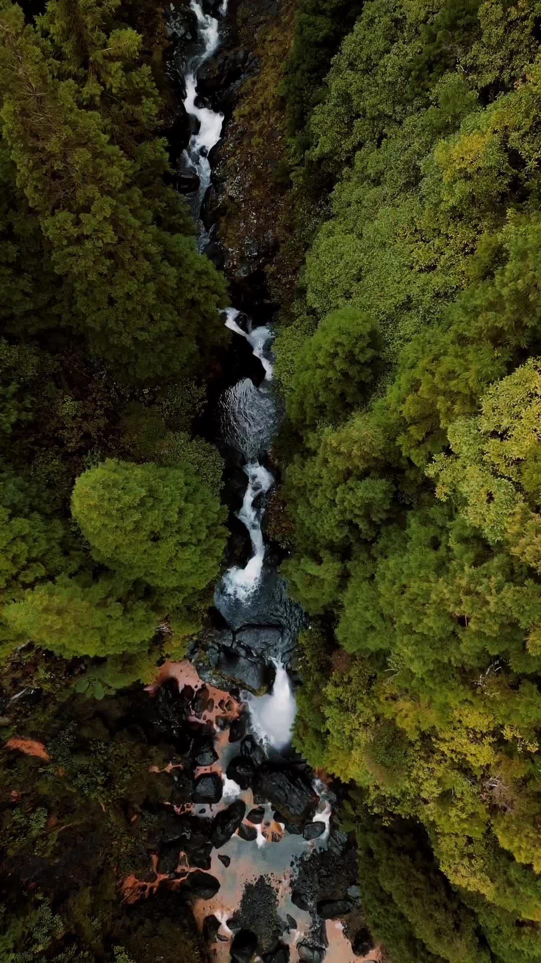 Discover the Stunning Waterfalls of São Miguel, Azores