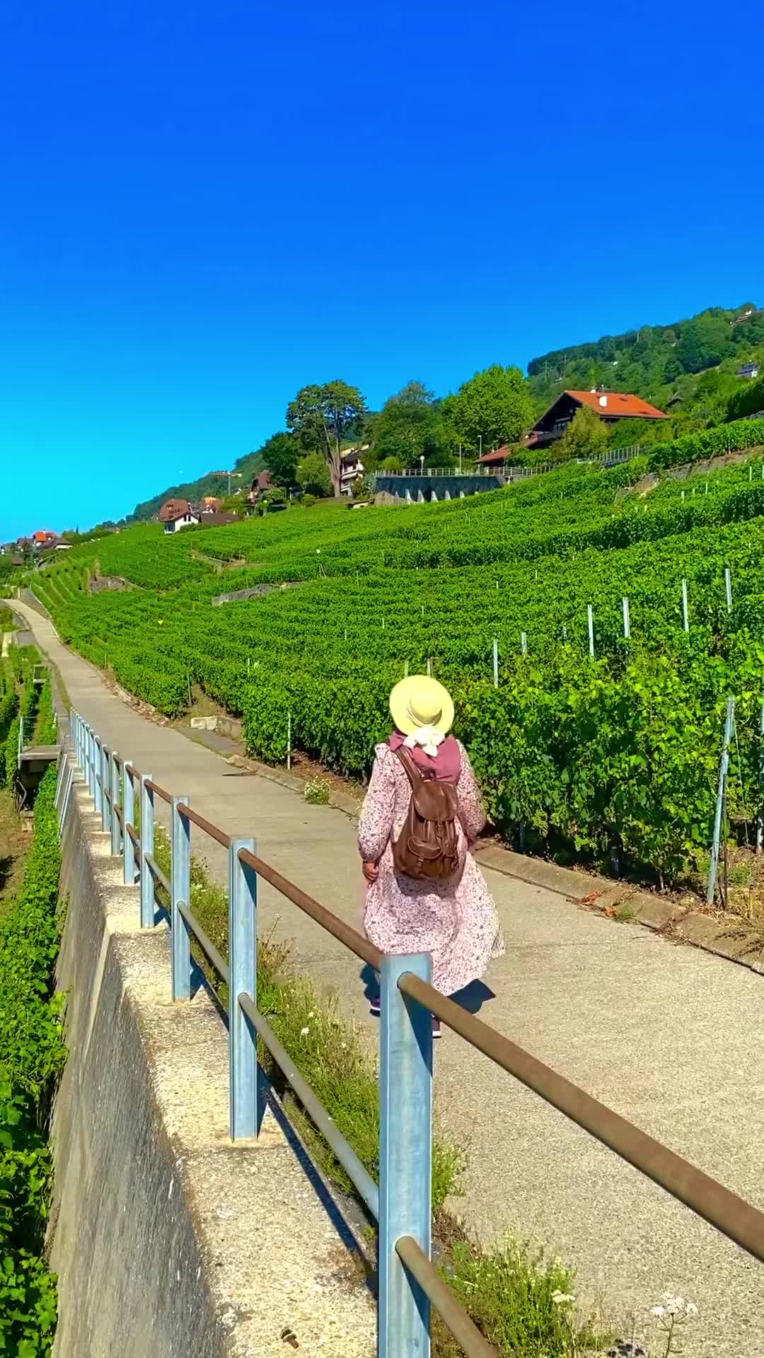 Lavaux Vineyard: UNESCO Gem Near Hotel du Léman