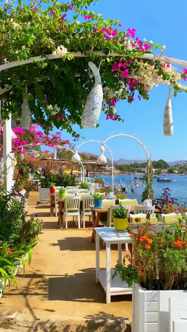 Dreamy Summer Day in Gümüşlük, Bodrum 🌸🧡