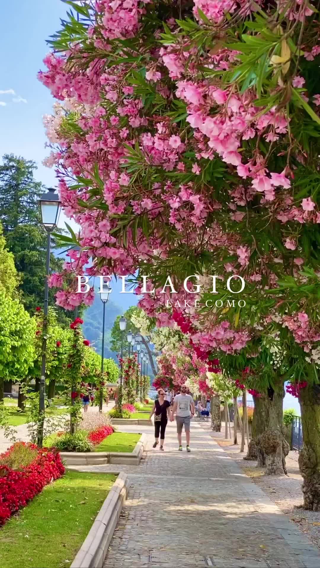Discover the Charm of Bellagio, Italy 🌸