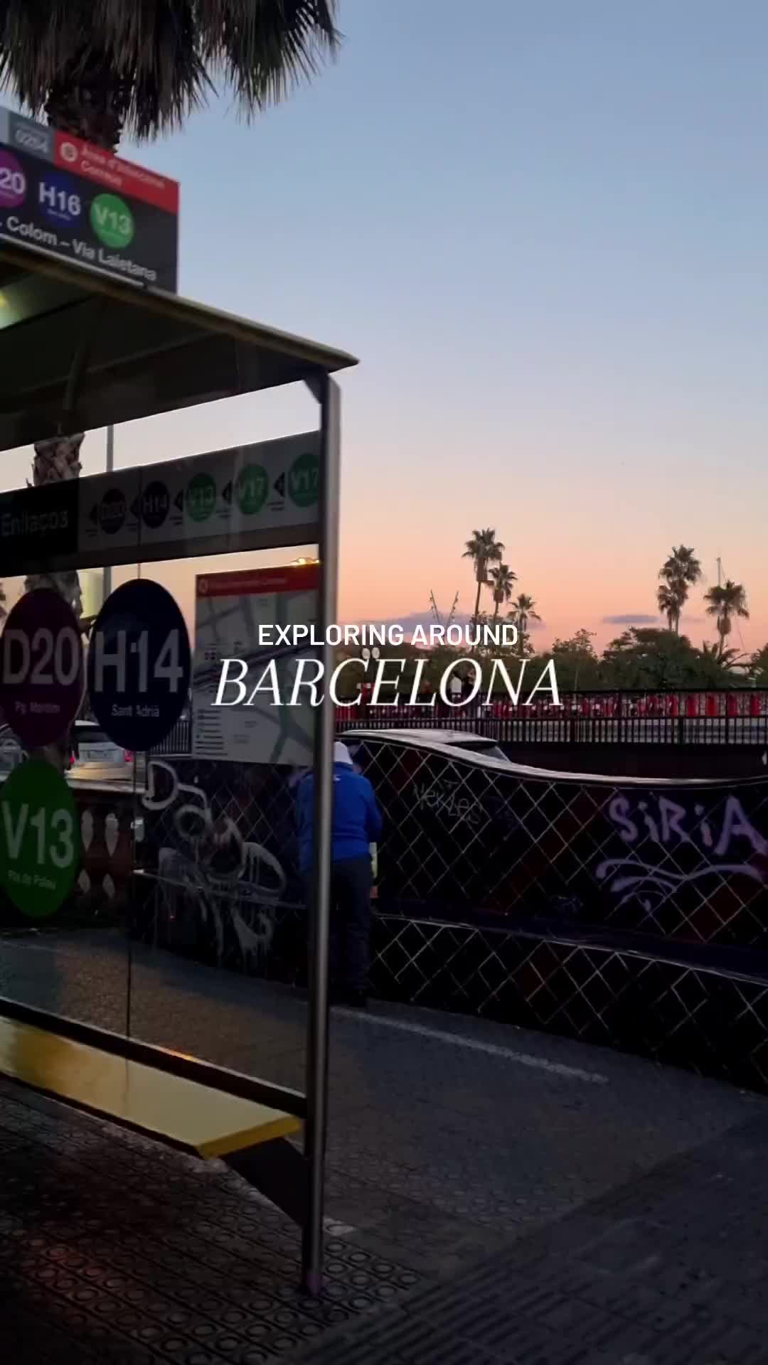 Discover Barcelona: City Life and Transportation