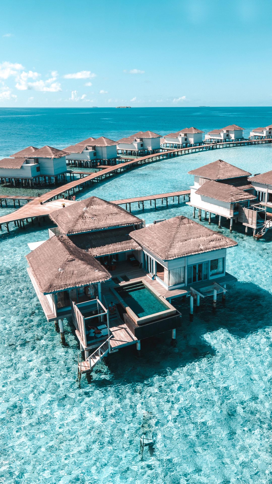 Can you spot the SHARK? 🦈😍

The perfect welcome to📌 @rafflesmaldives 

While swimming at this incredible infinity pool of our overwater villa, we spotted this cute shark. 

The marine life at Raffles Maldives is unbelievable. Like no other we’ve seen so far in the Maldives.

We spot sharks and an incredible amount of different fish every single day.

Would you be brave enough to swimming with a shark? 💦 

•••••••••••••••••••••••••••••••••••••••••••••••••••••••

Conseguem ver o TUBARÃO? 🦈😍 

As boas-vindas perfeitas no📌 @rafflesmaldives 

A vida marinha aqui no Raffles Maldives é inacreditável. Como nenhum outro que vimos até agora nas Maldivas. 

Vemos tubarões e uma quantidade incrível de peixes diferentes todos os dias. 

Vocês teriam coragem de nadar com um tubarão? 💦