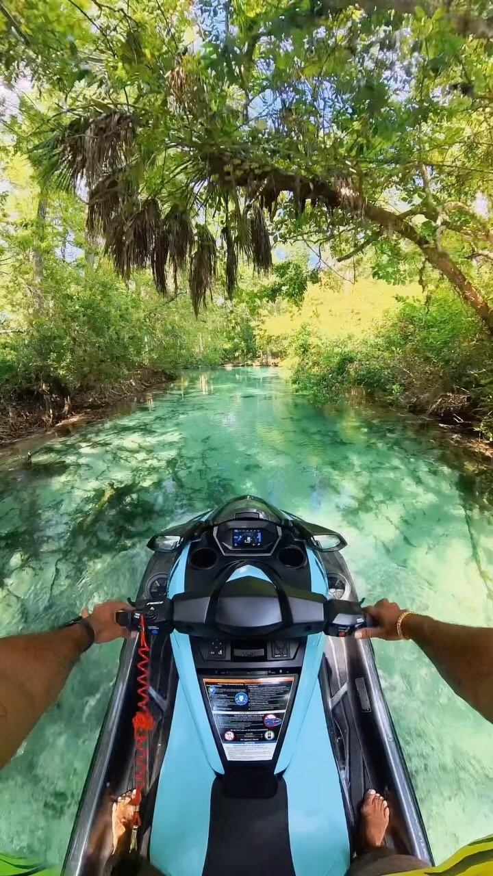 Weeki Wachee Gardens, United States