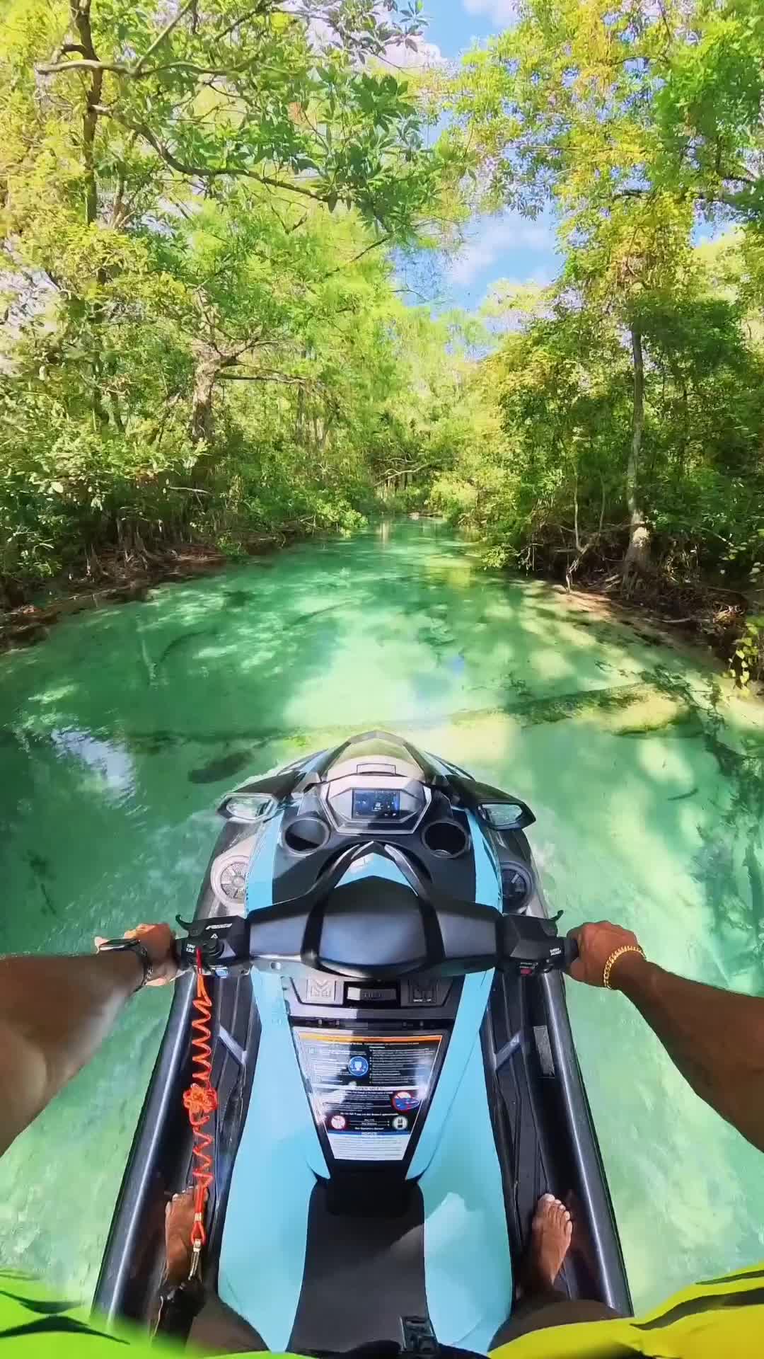 Merry Christmas from Sunny Florida's Weeki Wachee River