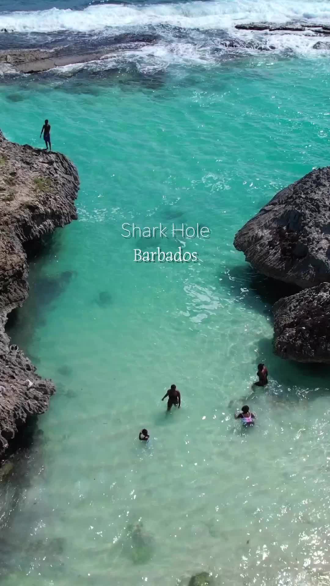 Thrilling Cliff Jumping at Shark Hole, Barbados