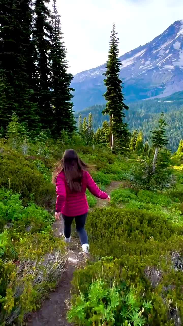 Endless Summer Dreams at Mt Rainier National Park