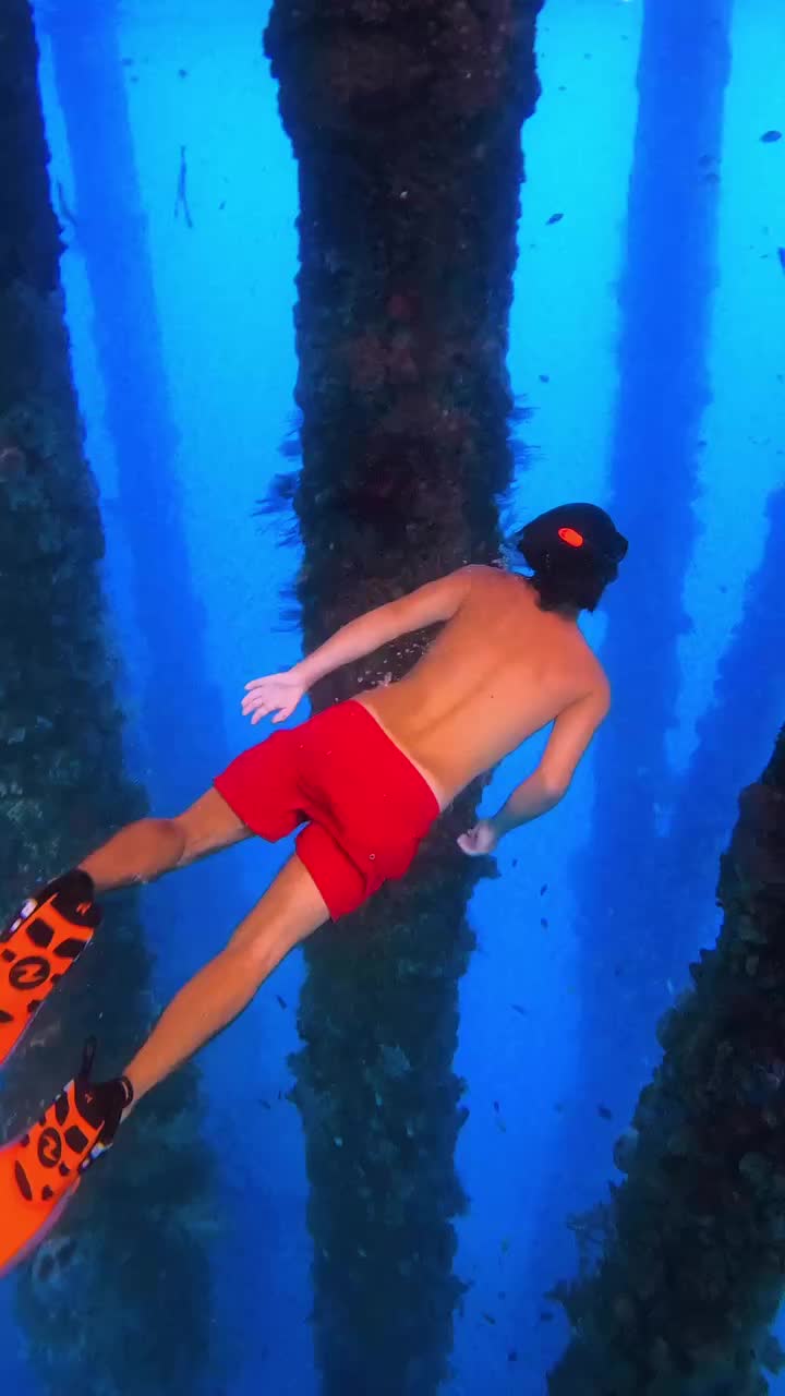 Discover the Hidden Underwater Paradise in Negros Oriental