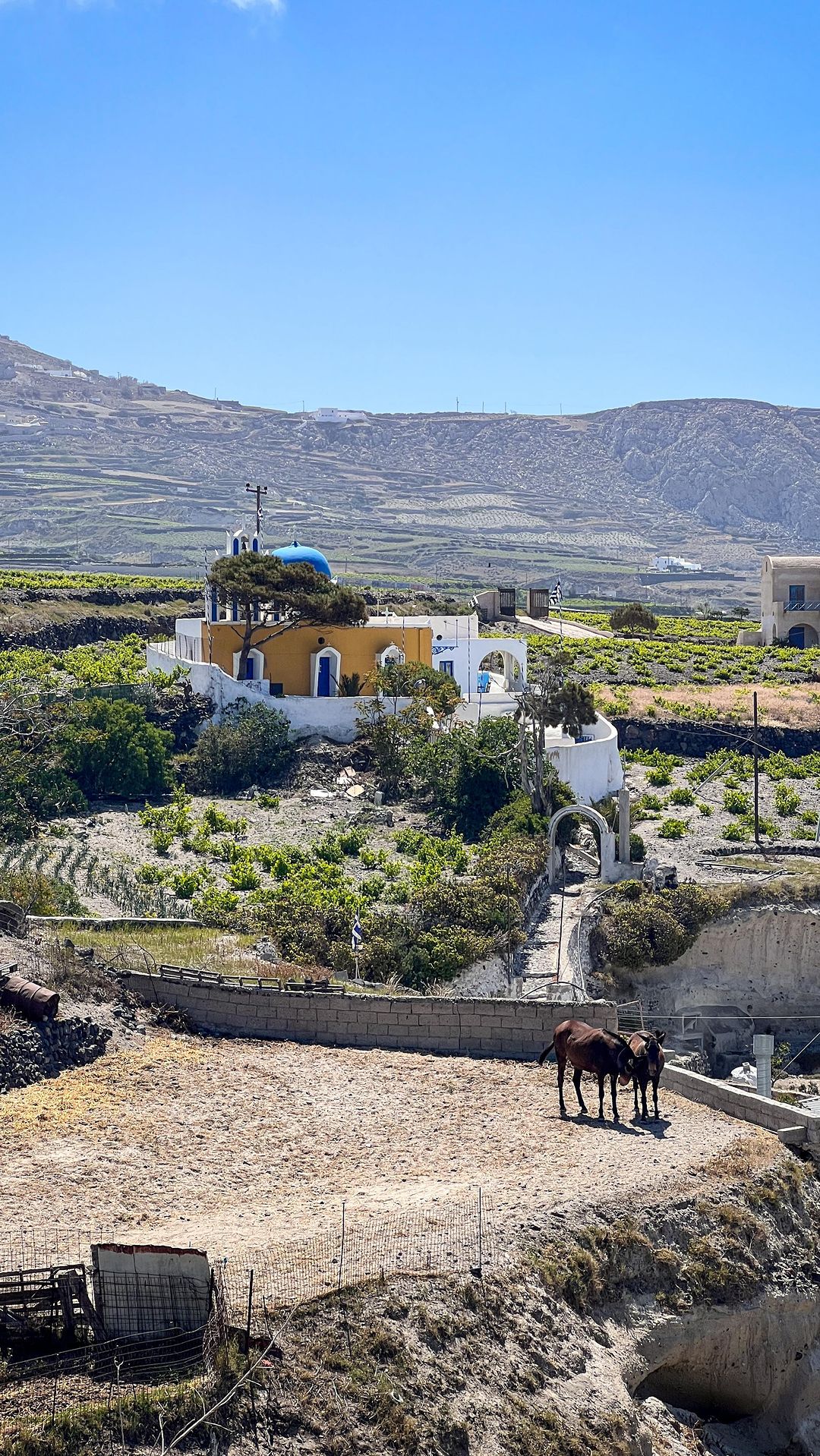 This is Megalochori village in Santorini 🇬🇷 

One of the most picturesque villages on the island, Megalochori is a little gem with its winding cobbled streets, whitewashed buildings and blue domed churches.

Save these recommendations of things to see/do in Megalochori for your trip to Santorini 📌 

🩵Megalochori Churches Viewpoint (Ιερός Ναός Αγίων Αναργύρων)
💙 The Bell Towers (Search ‘Sunbeam’ on Google maps for the first bell tower and ‘Panagia ton Eisodion’ for the second) 
🩵Αγία Παρασκευή - Blue domed church with yellow bell tower 
💙 Heart of Santorini
🩵 Underground caves of Megalochori (Search ‘Free visit to cave house’ on Google maps)
💙 Experience: Horse Riding Santorini stables

#santorini #santoriniisland #santorinigreece #santorinisunset #megalochori #greece #solotravel #solotraveller #solotravellearnings #greecetravel #greecelover_gr #visitgreece #greece_travel #cyclades #cyclades_islands #cycladesislands #cyclades_addicted#greecestagram #greeceislands #greecetravel #visitgreece