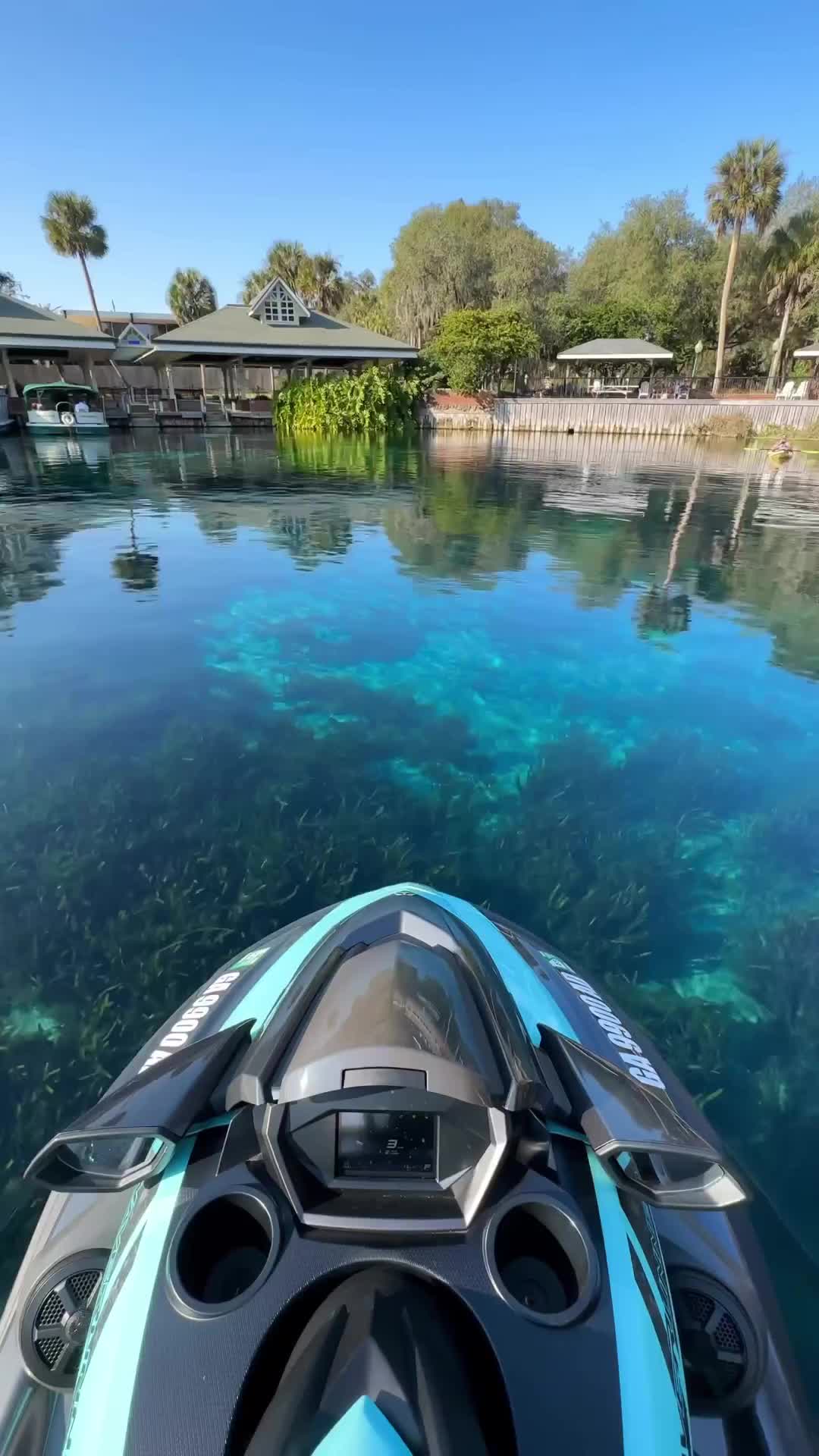 Monday Blues at Silver Springs State Park 🌊💙