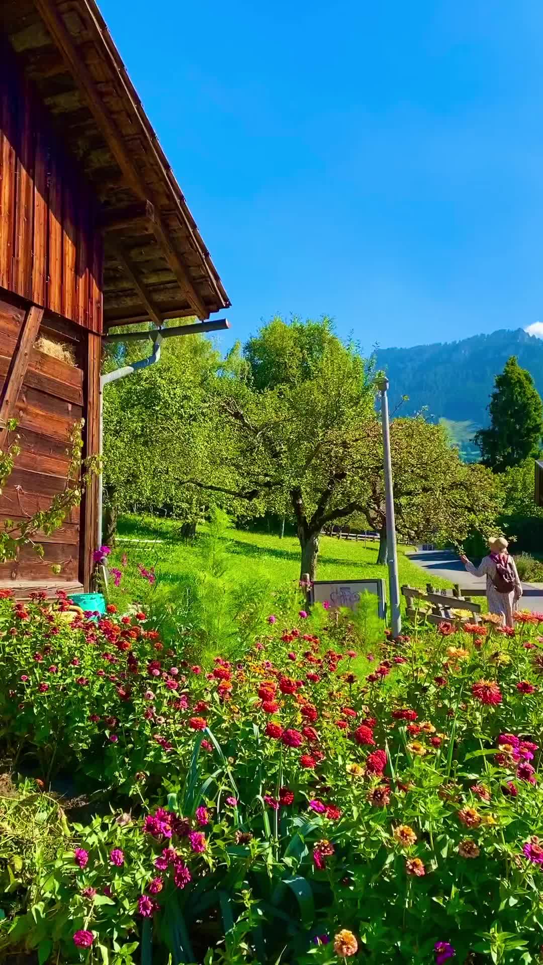 Discover Sigriswil's Top Attractions & Flower Gardens