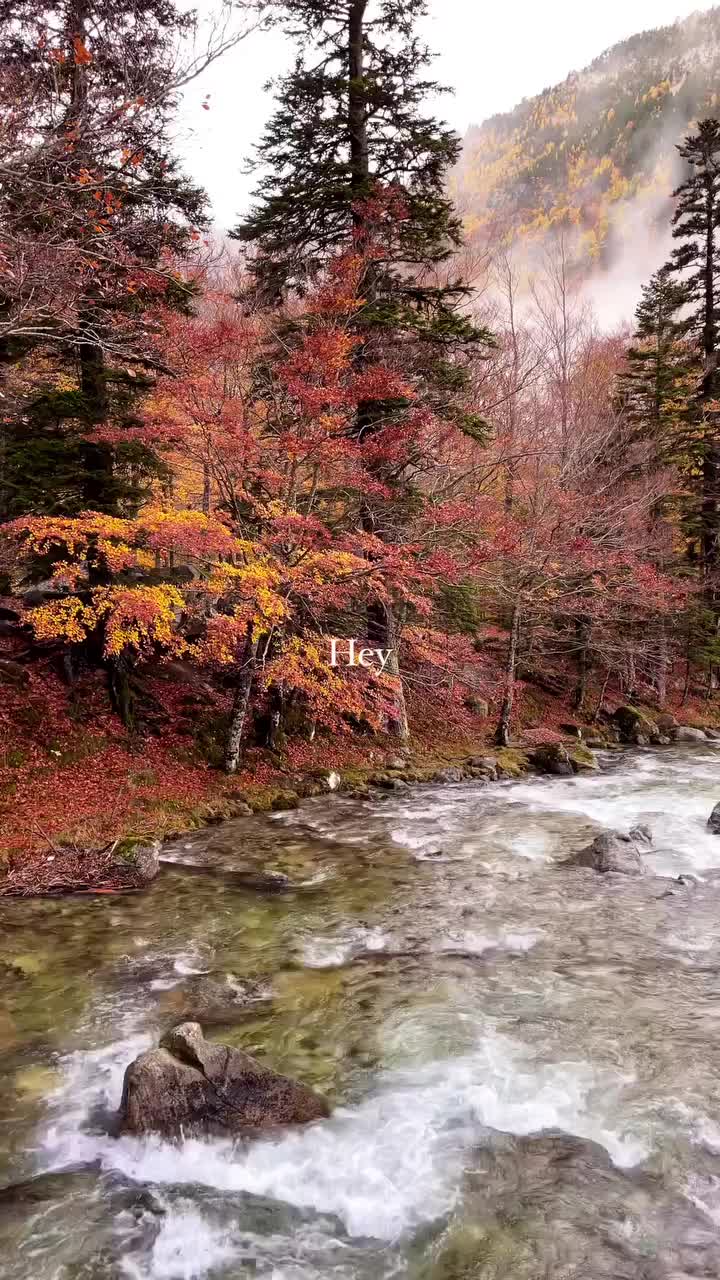 A beautiful view for a beautiful day 🍂🥰

#autumncolors #fallvibes #october #otoño #travelphotography #beautifulview #catalunya #lugarencantador #coloresdeotoño #reelsinstagram