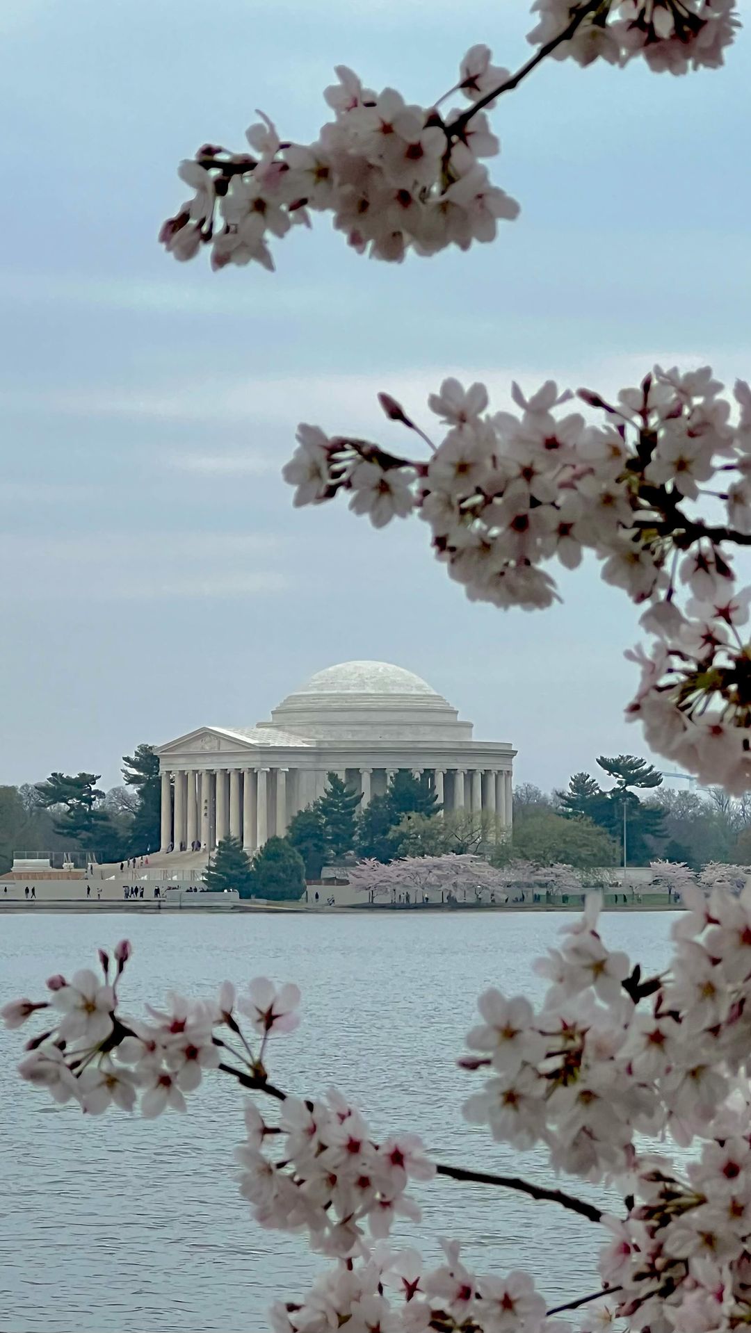Washington, DC Monuments and Culinary Delights