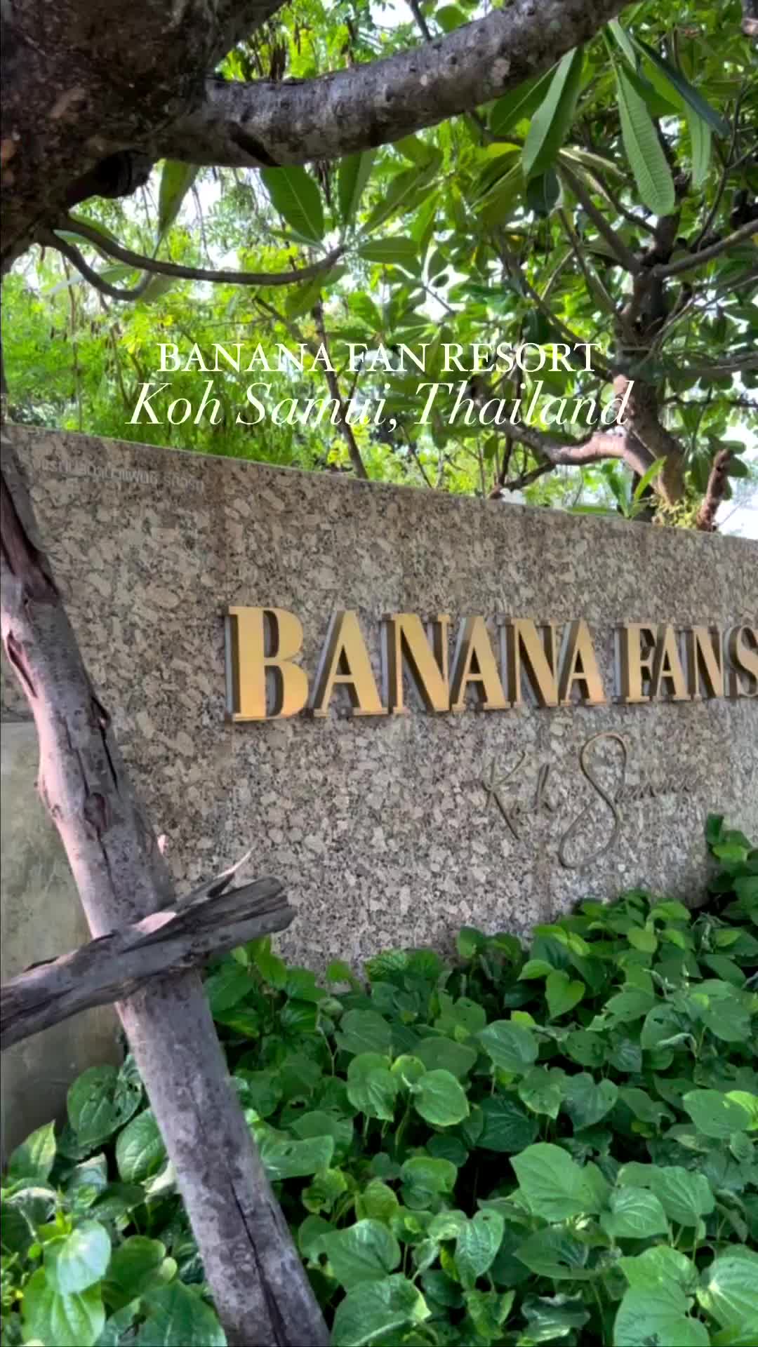 Top Hotel in Koh Samui: Banana Fan Resort Review
