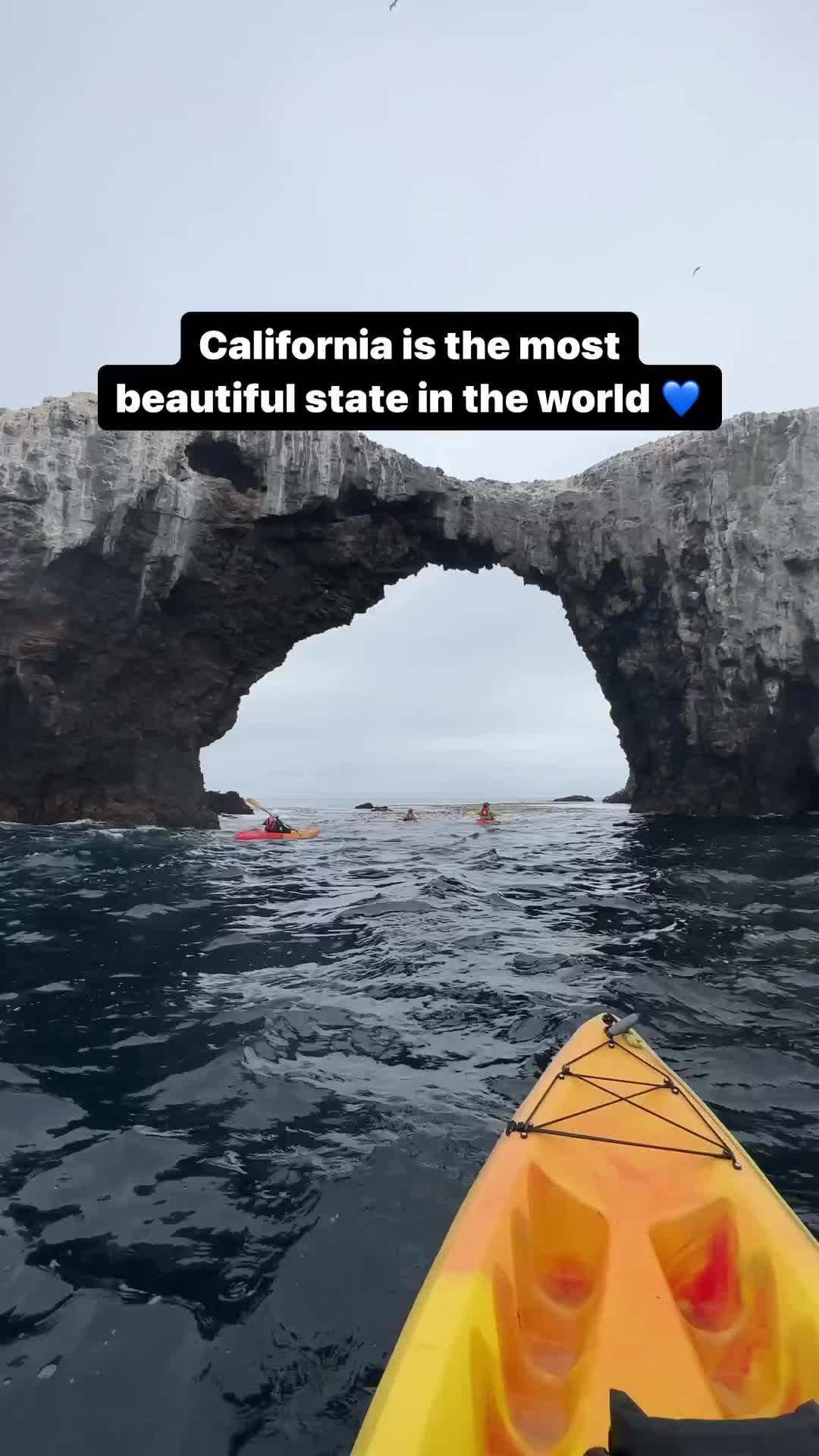 And it’s not even close 😎

LOCATIONS:
1) Anacapa Island Arch (Channel Islands National Park)
2) Queen Wilhelmina Tulip Garden, Golden Gate Park SF
3) Murray Canyon, Agua Caliente Band of Cahuilla Indian Land near Palm Springs
4) Sunset Cliffs, San Diego
5) Hedge Creek Falls, Dunsmuir 
6) Fern Canyon, Redwood National Park
7) Shark Fin Cove, Davenport
8) Neptune Pool, Hearst Castle, San Simeon
9) Avalon, Catalina Island

#california #travel #travelphotography #nature #naturephotography #reels #beautiful #beautifuldestinations #pretty #naturelovers #outdoors #adventure #explore #hiking #waterfall #ocean #color #aesthetic #blue #wild #shotoniphone #paradise #love #life #live