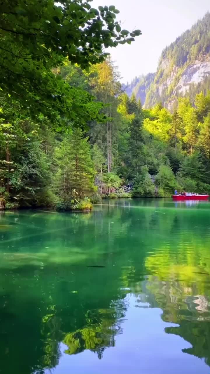 Explore the Beauty of Lake Blausee, Switzerland