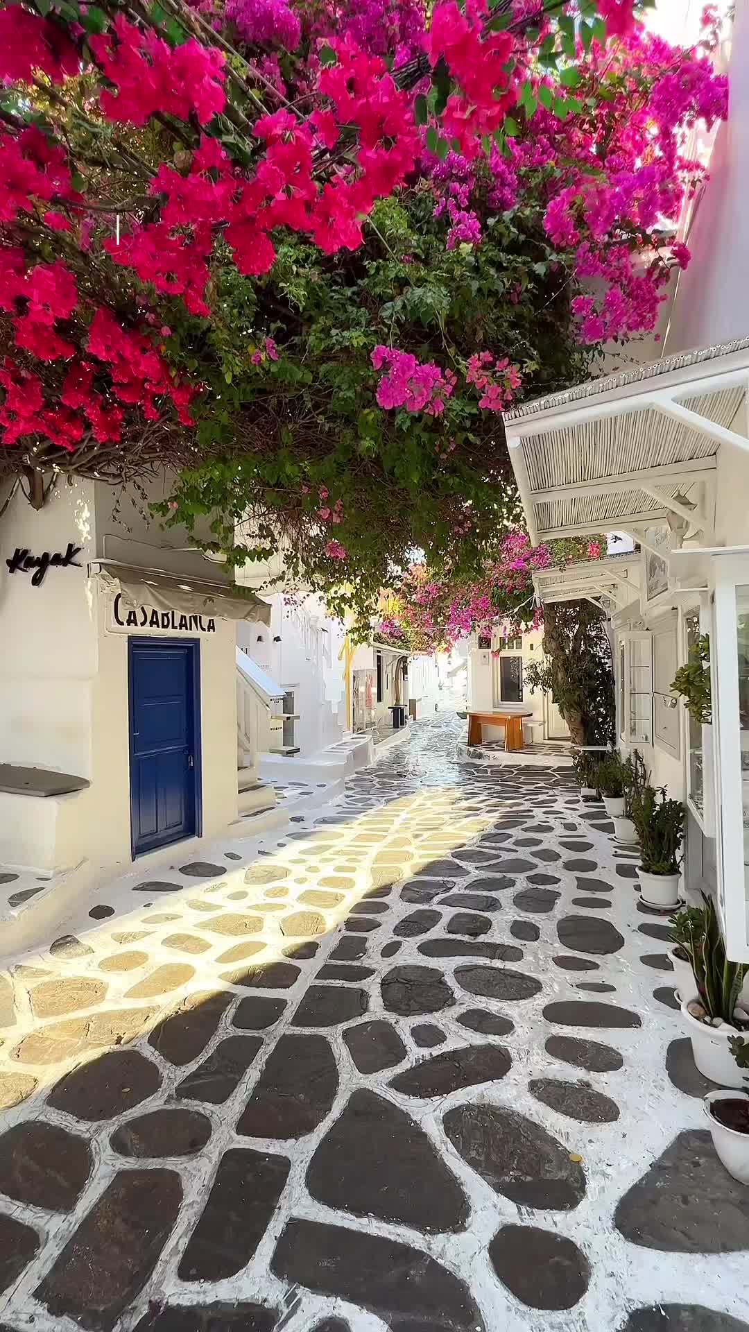 This dazzling Greek island will always hold a special place in my heart 🥰

From its vibrant bar and restaurant scene, to its stunning beaches, quaint cobbled streets, and array of beautiful hotels. If you’re visiting Greece in 2024, then Mykonos should definitely be an island you delve into!

📍 @enigmasuitesmykonos 

#ItsMeLouis

#mykonos #greece #visitgreece #santorini #travelreels #reelsofinstagram #greecereels #mykonos🇬🇷 #mykonosgreece #mykonos2024