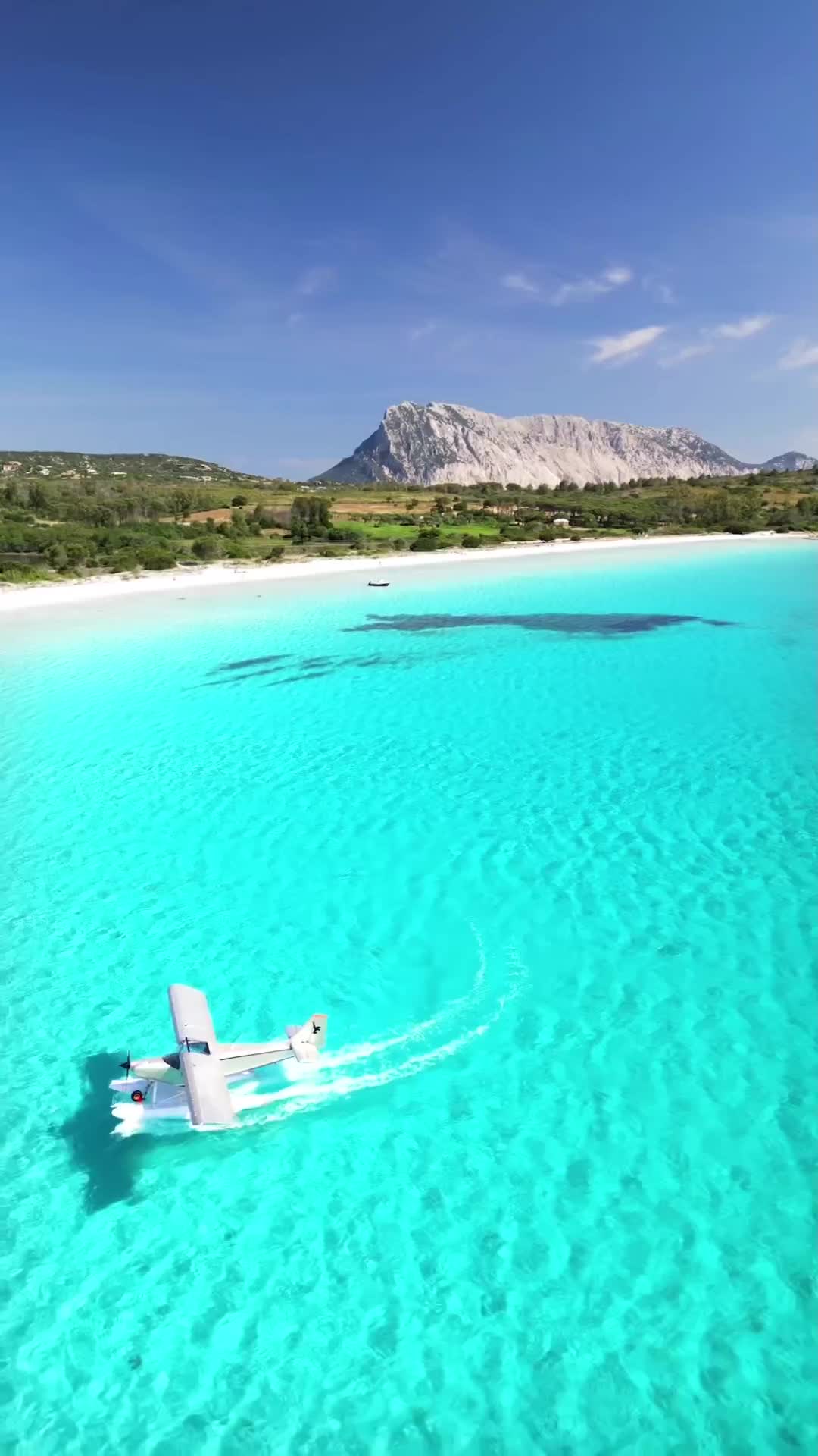 Maggio 2023 - Brandinchi Tropicale 🏝️ 
.
.
.
.

#sardinia #cerdeña #naturegeography #awesome_photographers #italiainunoscatto #lanuovasardegna #sardegnaofficial #calabrandinchi #volgosardegna #volgoitalia #sardegna_reporter #ig_italia #ig_skyline #destination_italy #beautifuldestinations #bestvacations #earthpix #wonderful_places #world_great #spiaggedasogno #ladolcevitaly #ig_vision #unionesarda #italy #italia #travel_drops #vivosardegna #santeodoro #sardream