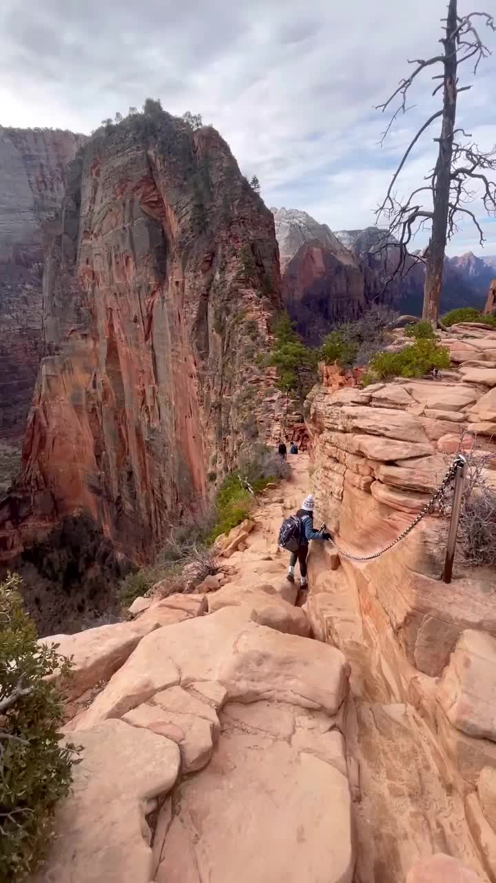 Hiking Angel's Landing in Zion: A Bucket List Adventure