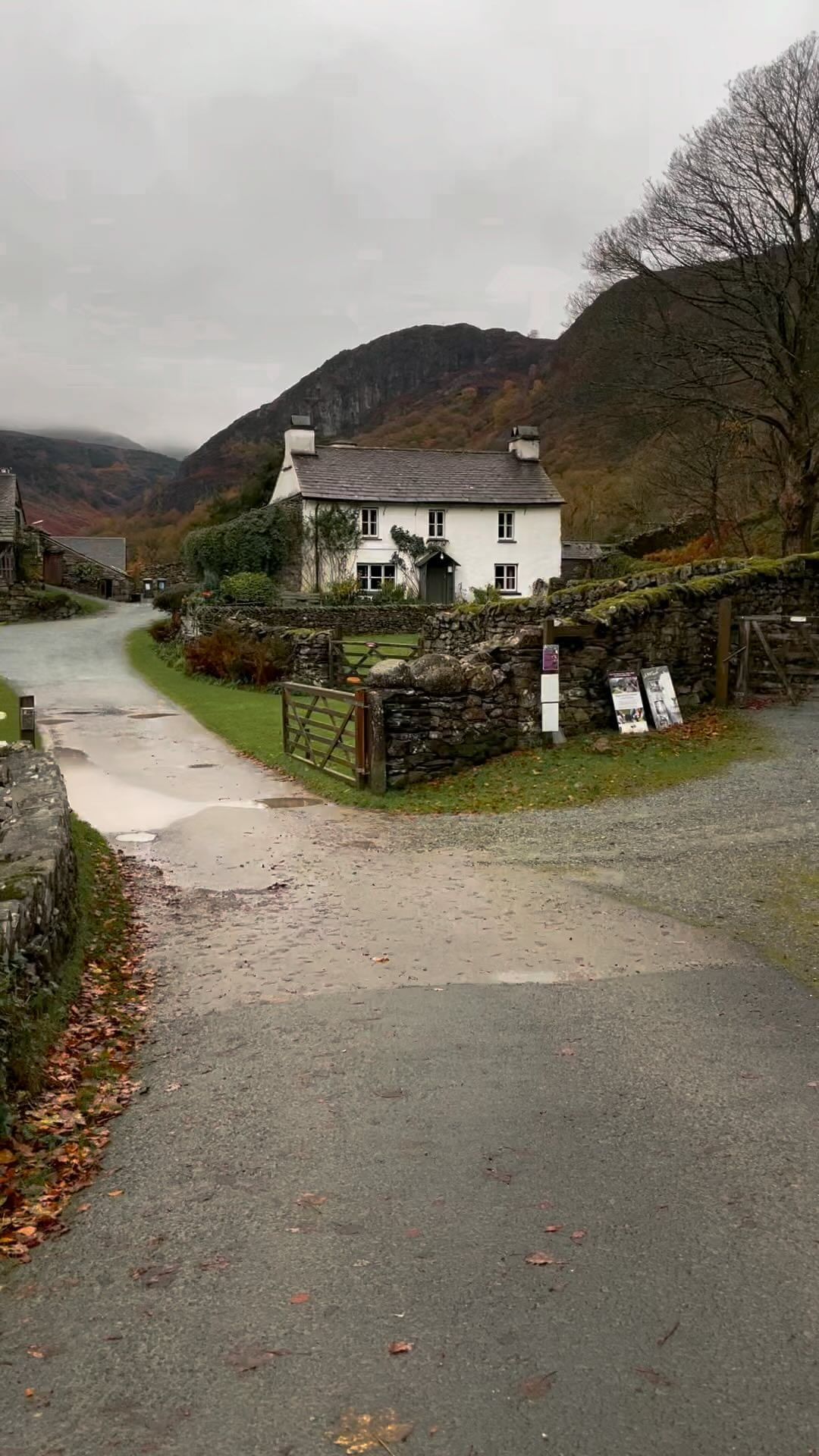 Exploring the Natural Beauty of Lake District