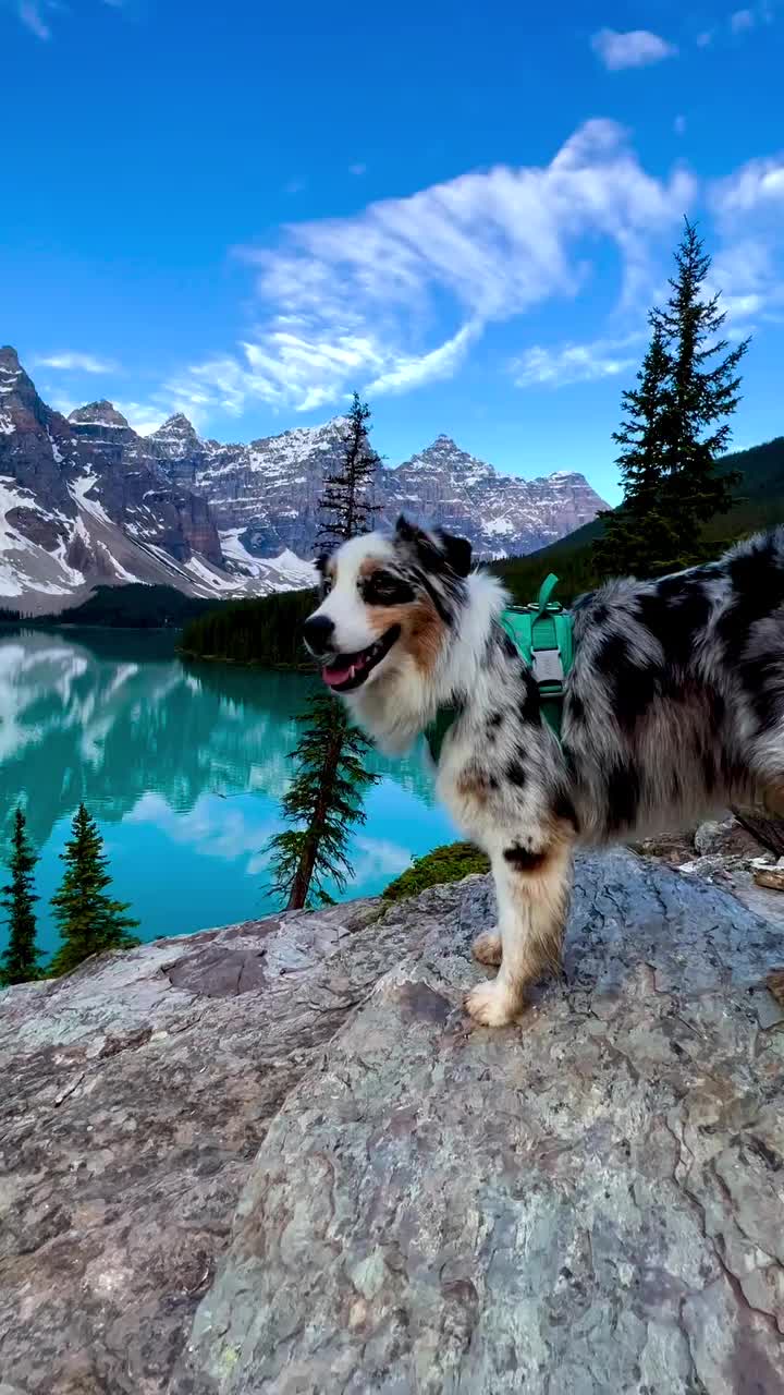 Stunning Moraine Lake View in Canada with Carl the Aussie