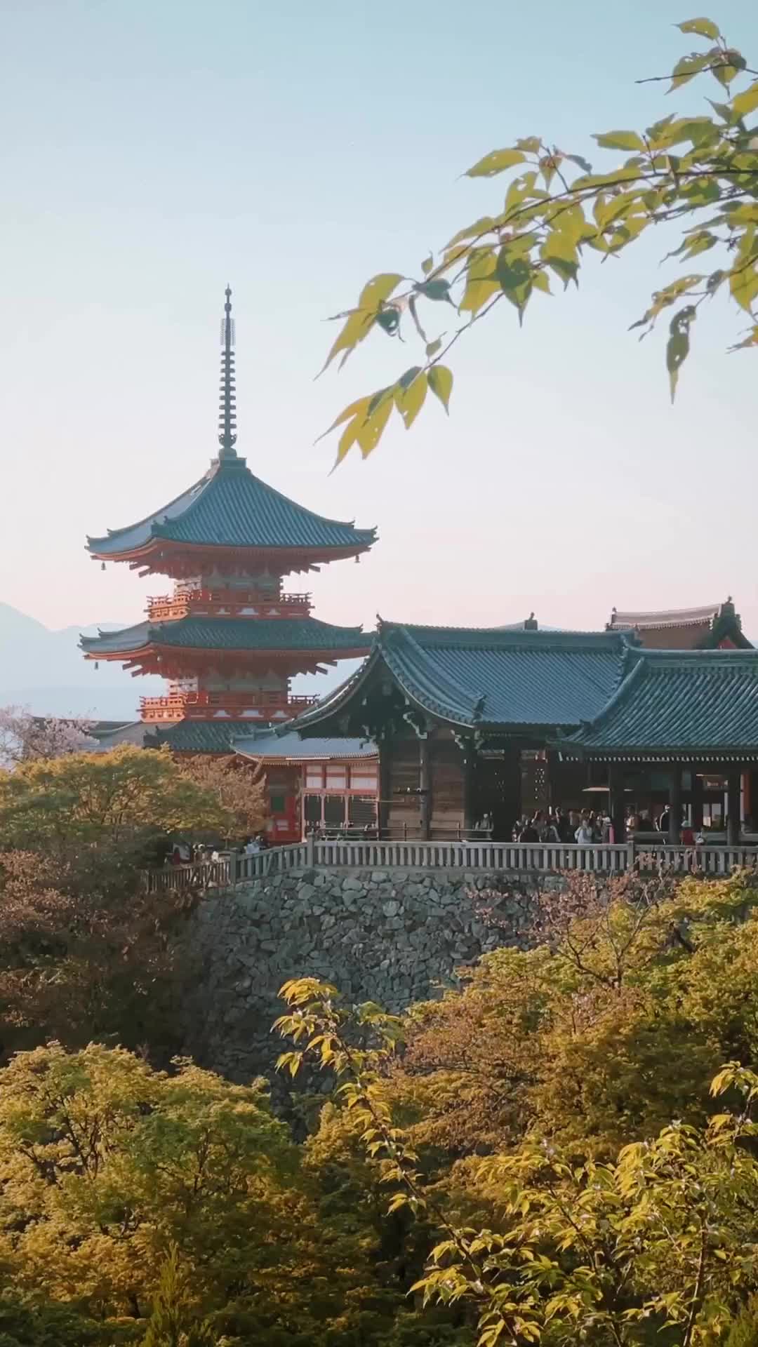 Golden Moments in Kyoto: Explore Ancient Japan