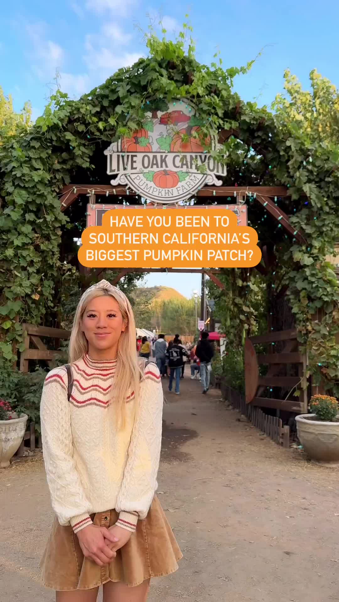 SoCal's Largest Pumpkin Patch at Live Oak Canyon