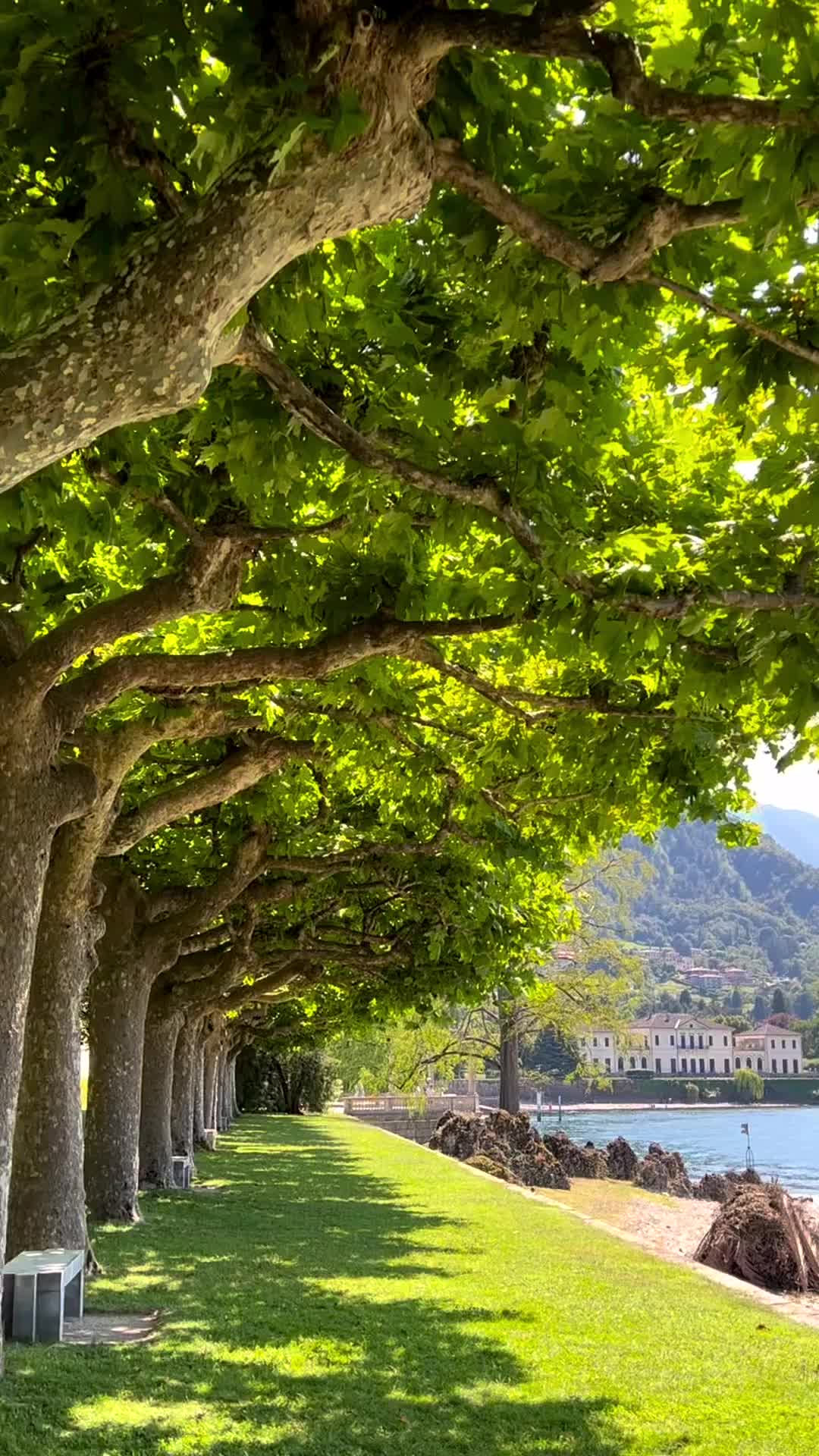 Beautiful Afternoon at Lake Como, Villa Melzi d'Eril