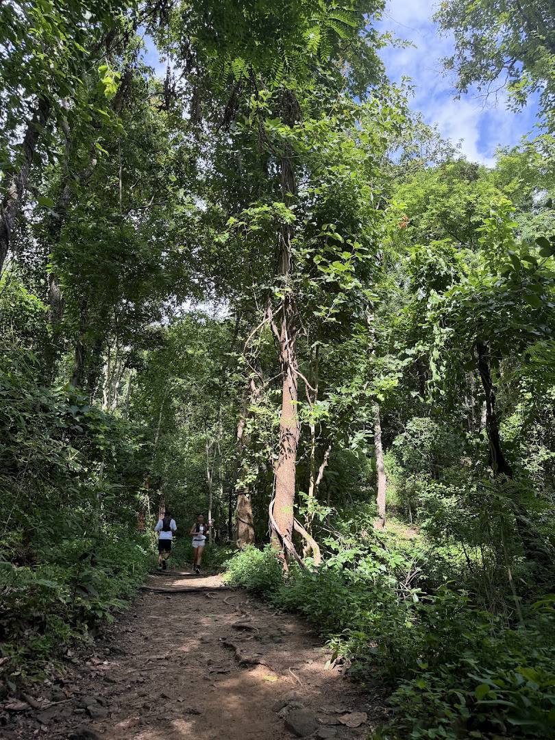 Forest Hiking and Mountain Temple Views