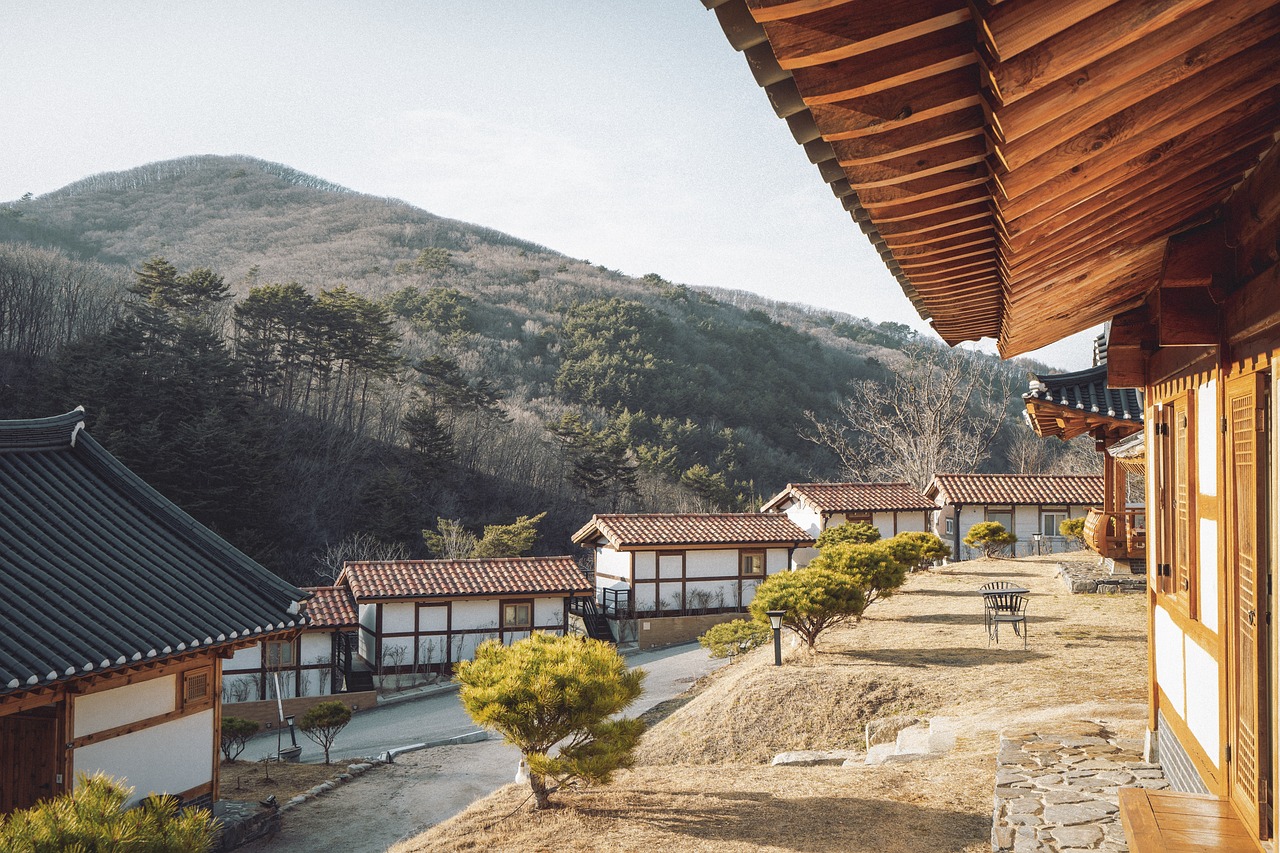 Viaggio in Corea di 16 giorni