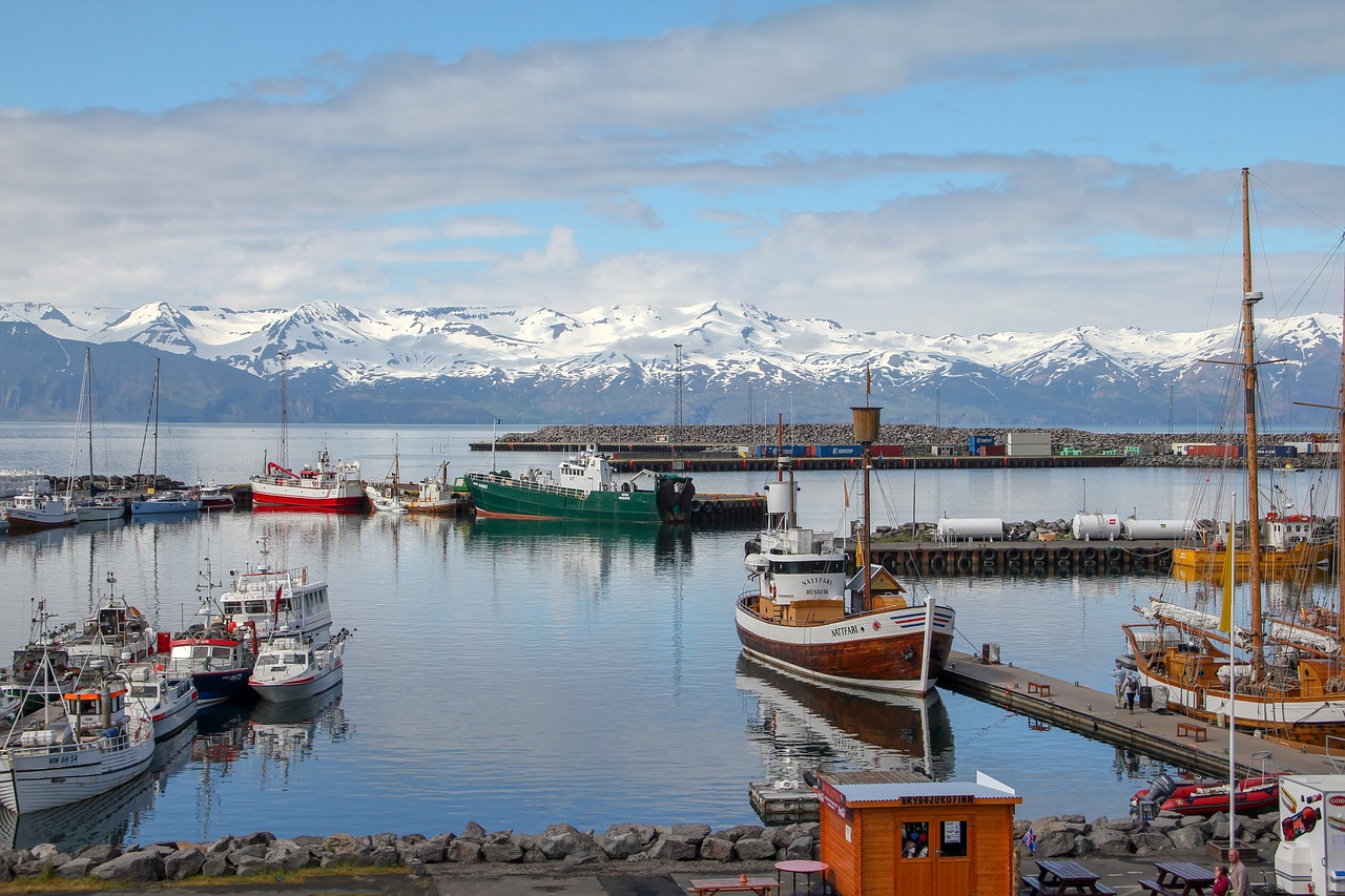 Husavik and Faroe Islands Adventure 5 Days