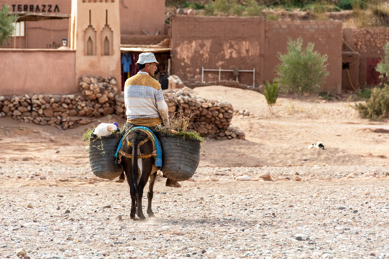 Esplorazione Completa del Marocco in 5 Giorni