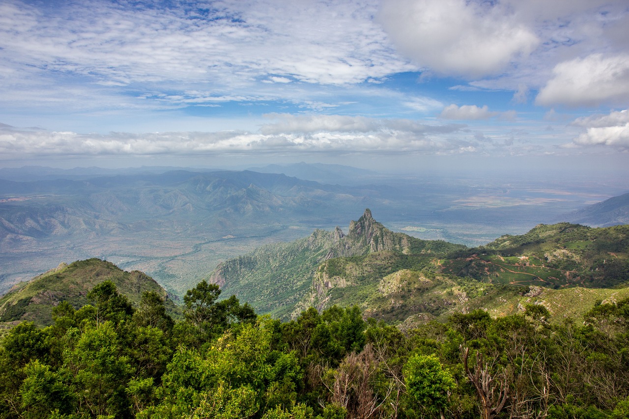 Ooty Coonoor Mysore 4 Day Adventure