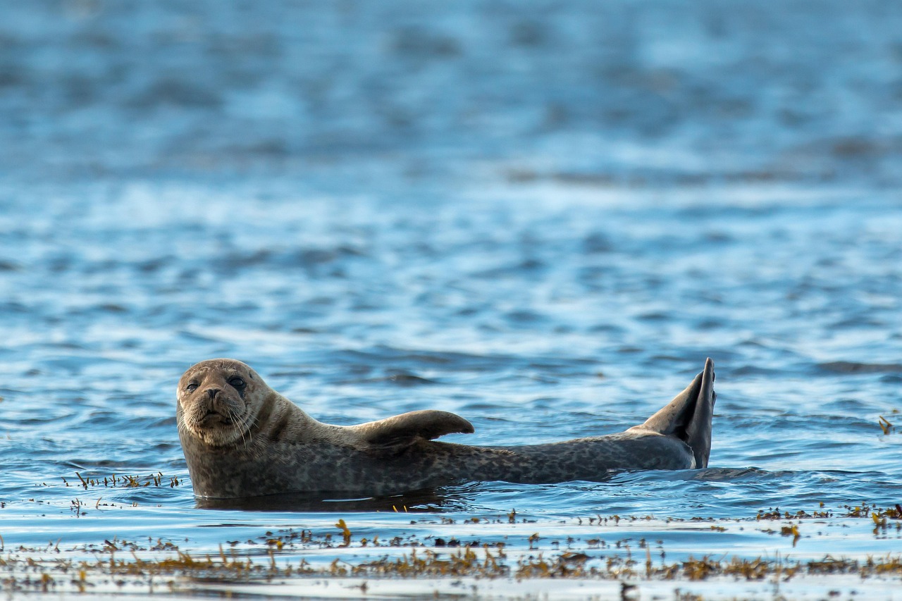 Schottland Abenteuer 3 Tage