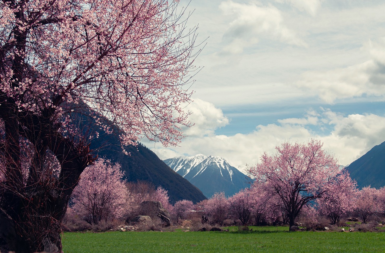 Tibet Adventure 2 Days