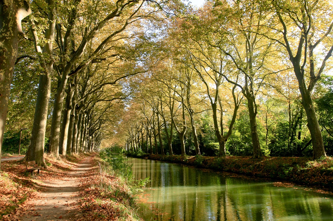 Descubre Toulouse en 3 días